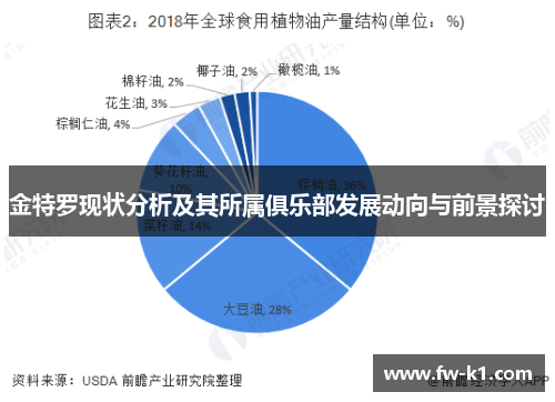 金特罗现状分析及其所属俱乐部发展动向与前景探讨 金特罗现状分析及其所属俱乐部发展动向与前景探讨