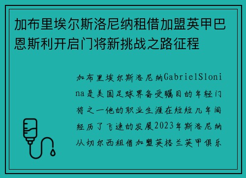加布里埃尔斯洛尼纳租借加盟英甲巴恩斯利开启门将新挑战之路征程